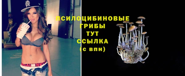 каннабис Богородицк