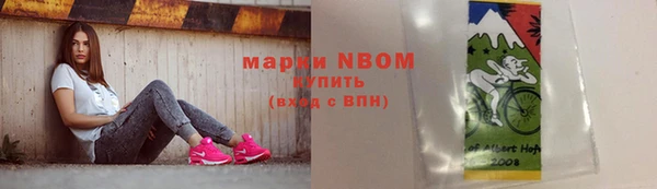 гашик Богданович