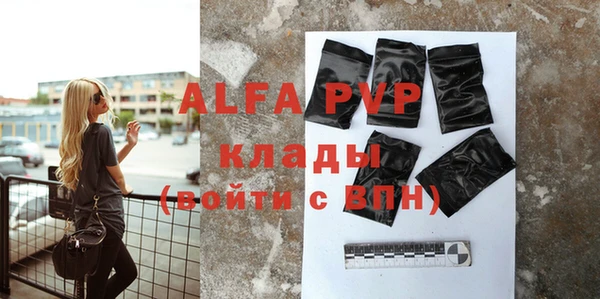 гашик Богданович