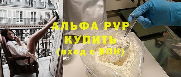 гашик Богданович