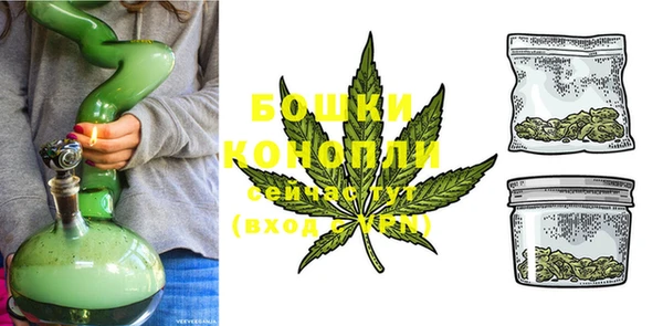 гашик Богданович